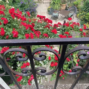 **** Couette-café Aux Augustins France